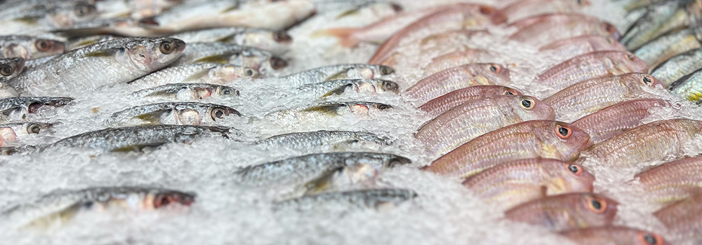 Come riconoscere il pesce fresco: consigli per l’acquisto