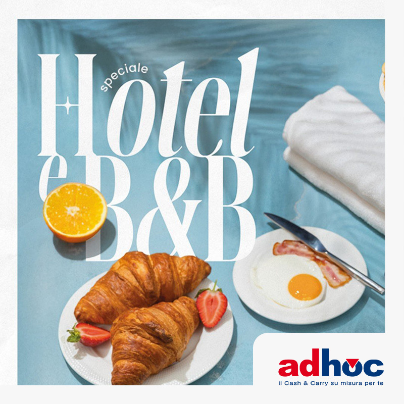 adhoc catalogo NL
