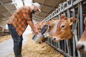 Chilometro zero cosa significa