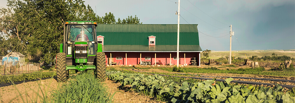 Cibi a chilometro zero