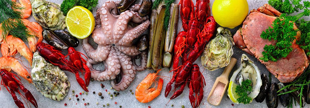 Banco pescheria: come allestirlo ed esporre il pesce in modo efficace