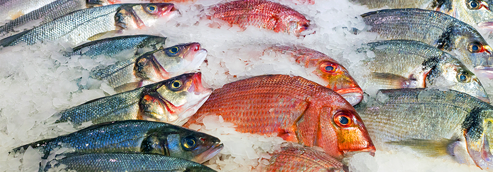 Pesce fresco, congelato o surgelato: differenze, proprietà e durata