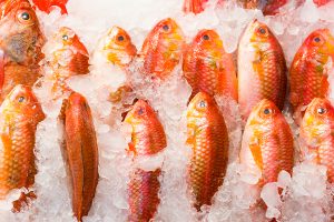 Pesce surgelato ristorazione