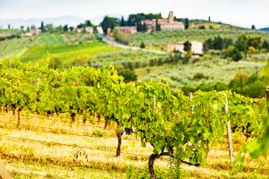 Selezione vini ristorante