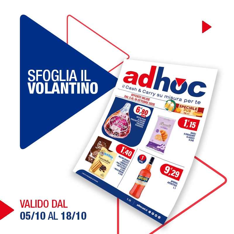 20 adhoc NL